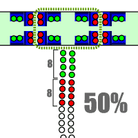 4{bNXV[g̐}