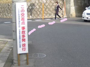 ʐ^P