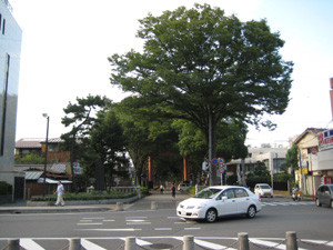 QiPUj