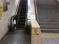 肪