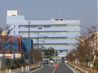Ȃ