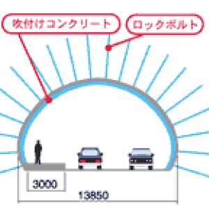AJ[̉摜